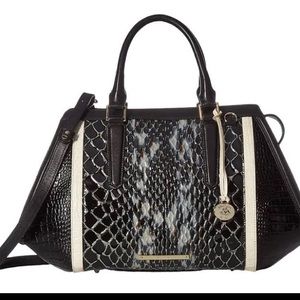 Brahmin Arden Satchel/Black Carlisle Snake Print